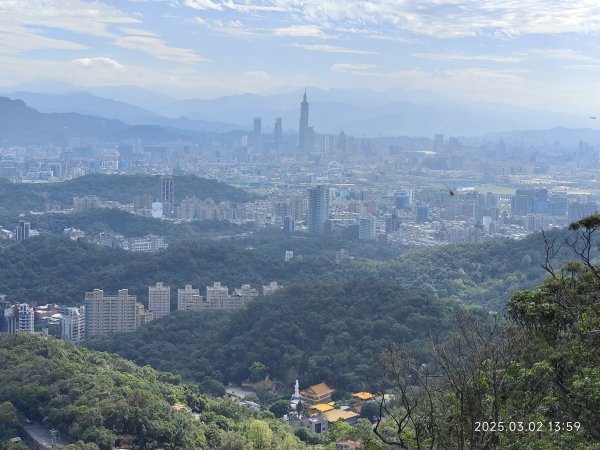 內湖碧山巖 櫻花隧道2724222