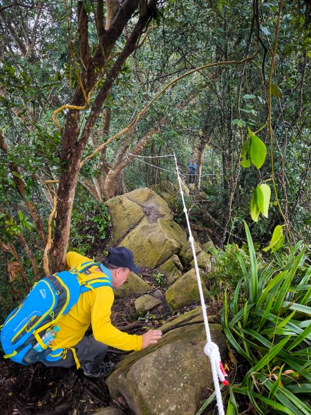 2025-03-08 汶水三山：金童山、汶水山、玉女山 連走2736528