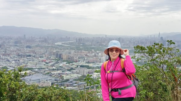 (姨婆趴趴走)第五十集:新北樹林大同山、青龍嶺、大棟山諸峰連走2751581