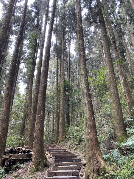 奮起湖大凍山3060270