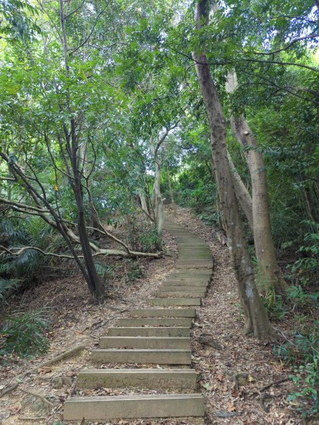 2025.09.21－微笑山線：【鳶山山系】鳶山彩壁段2898716