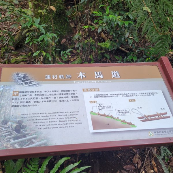 藤枝國家森林遊樂區（小百岳）2291830