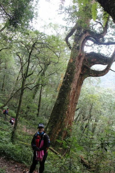 北插天山~赫威山105.12.06(二)77156