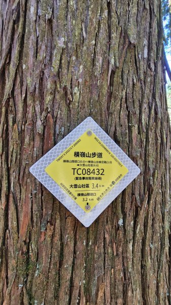 【細說大雪山木馬古道】橫嶺山、沙蓮山、笛吹山O繞2921111