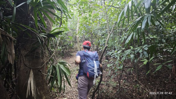 20251109 士林站到大湖站(福山宮_腰繞_燕溪古道_翠山步道_龍船岩_大溝溪)2932318