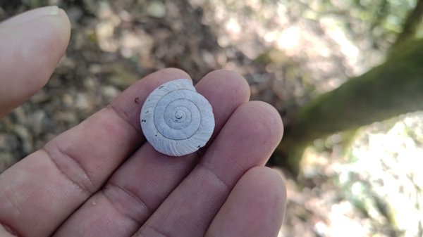 嘉義縣最遙遠的南霞山2698984