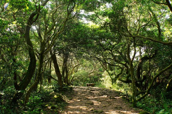 新竹 芎林 飛鳳山、中坑山、石壁潭山3050424