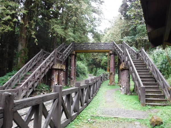 【公告】阿里山國家森林遊樂區 塔山步道109年12月16日起施工封閉