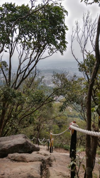 內湖金面山步道890434