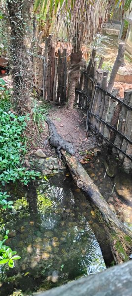 杭州動物園3089155