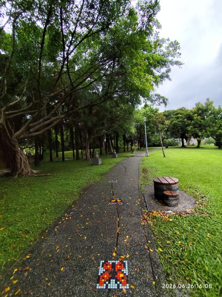 內湖瑞光公園3083345