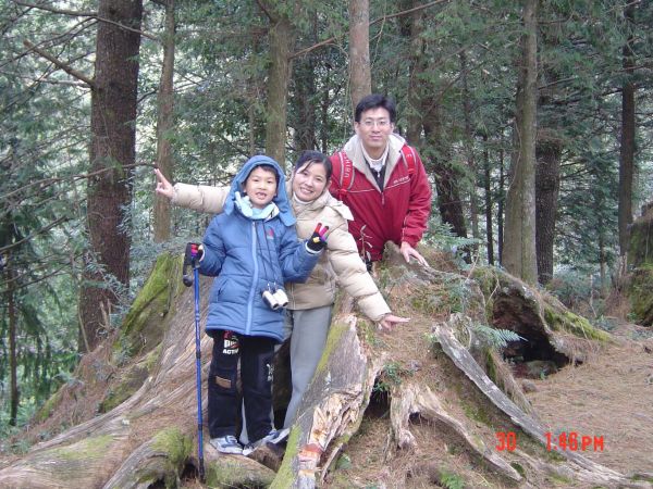 2007 Dec.大雪山森林步道330902