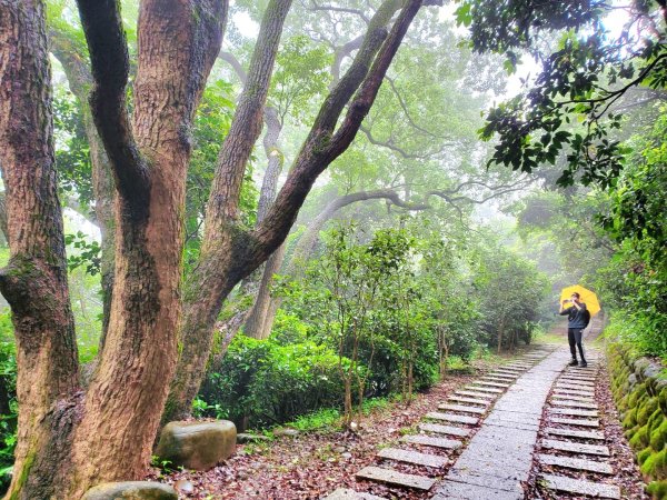 新竹六寮古道，七星神木，鳳崎落日步道，香山濕地賞蟹步道，十八尖山，竹塹城迎曦門，竹北豆腐岩1680893