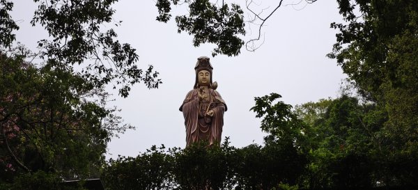 2026/03/21-貴山客家文化公園3023168