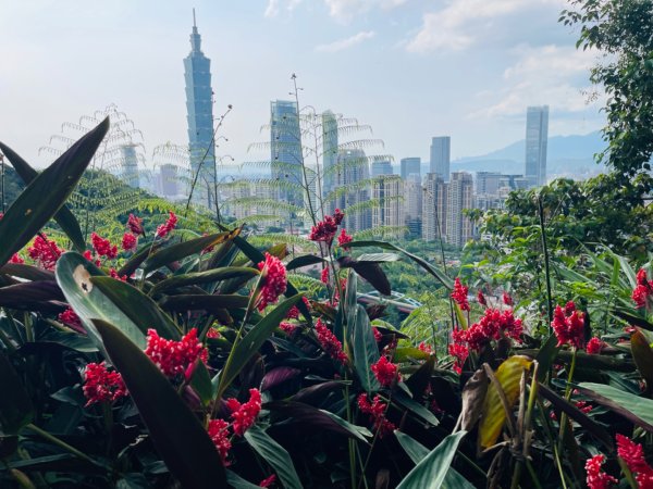 1140513象山峰-永春崗平台O繞2785605