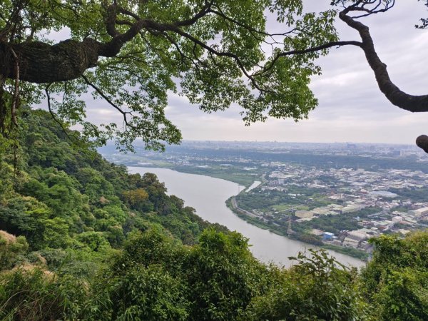 新北市-福德坑山封面