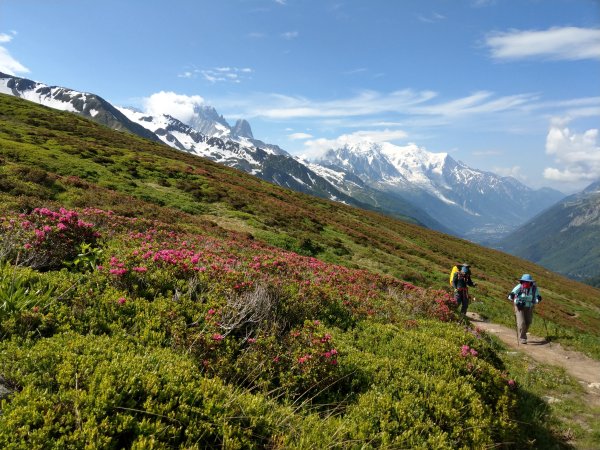 2025/07/04~07/20 阿爾卑斯山 Walker's Haute Route (WHR) 高階行者之路 (一)