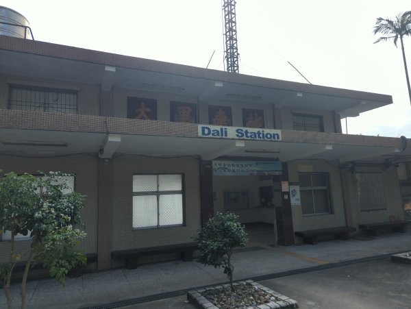 2025.11.29－草嶺古道芒花季2955996