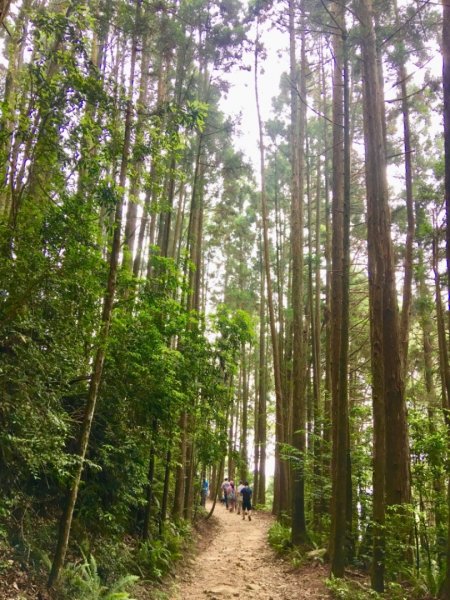 1070929橫嶺山自然步道422265