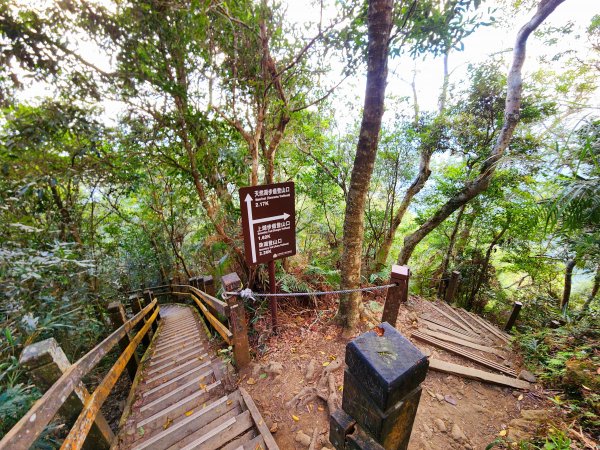 小百岳集起來-馬那邦山2181261