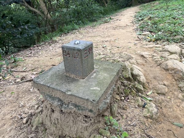 [微笑山線_第二段] 2025_0720 大棟山系_百年大榕樹2843330