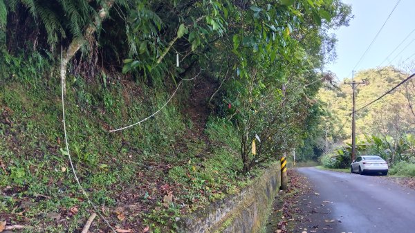 坪林區仁里坂橋-仁里坂山-金瓜寮土地公-仁里坂橋O型3132806