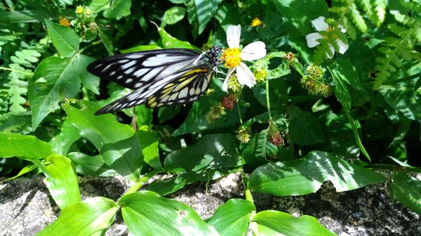 醉在.......如夢似幻138169