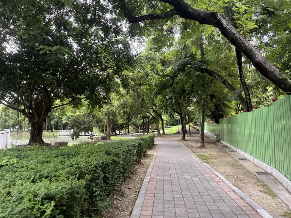 [全臺走路趣尋寶-25/100] 2024_0706_南瀛綠都心公園2546338