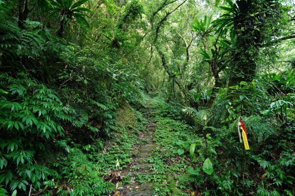 新北 石碇 西帽子岩、炙子頭山、溪邊寮山2551948