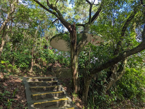 2023-09-28 臺北大縱走第五段2792899