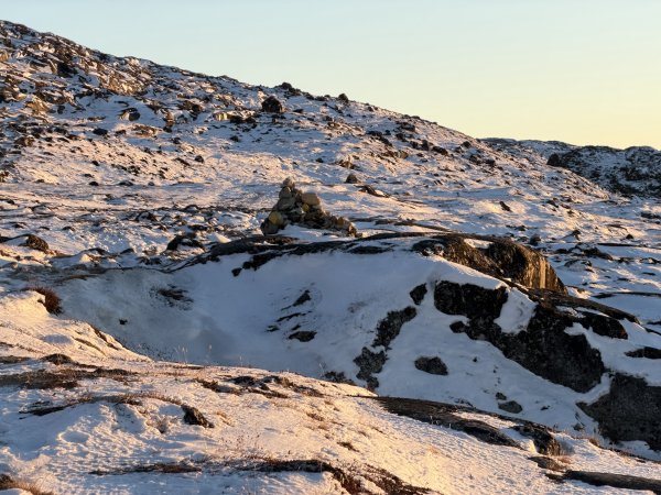 [紐約馬之行-42] 2025_1107 黃線步道-後2950706