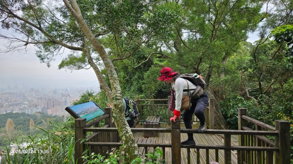 圓通寺烘爐地登山步道大O走3007105
