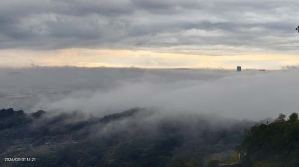 #雲瀑 #雲海 #琉璃光 #天空之城（林口）#觀音山 #林梢步道 3/13008586