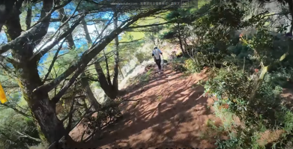 塔塔加五連峰2831422