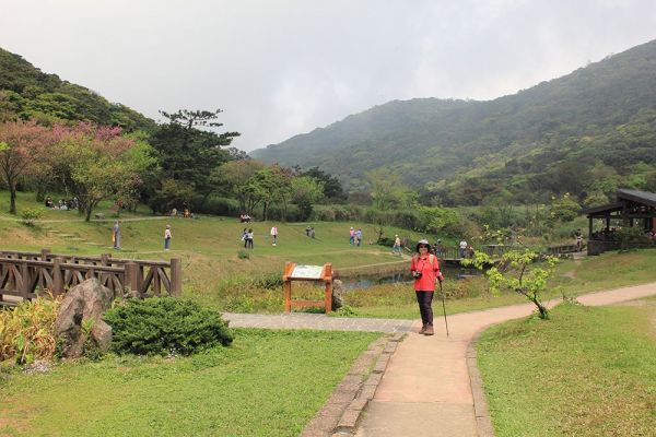 大屯山主、南、西峰O型322230