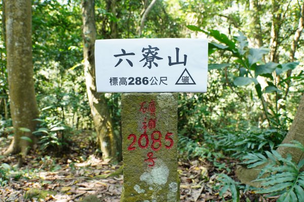 新竹 峨嵋 猿山、六寮山、玖玖山、獅頭山、獅尾山3012145