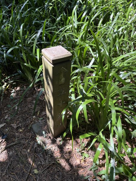 小百岳 - 鳶山3132627