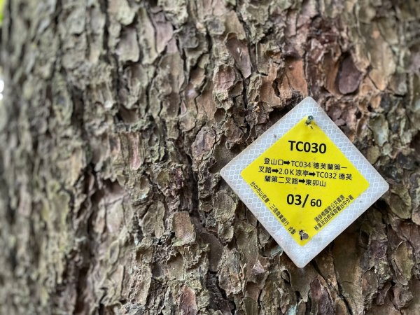 谷關七雄｜一日東屋縱走2923828