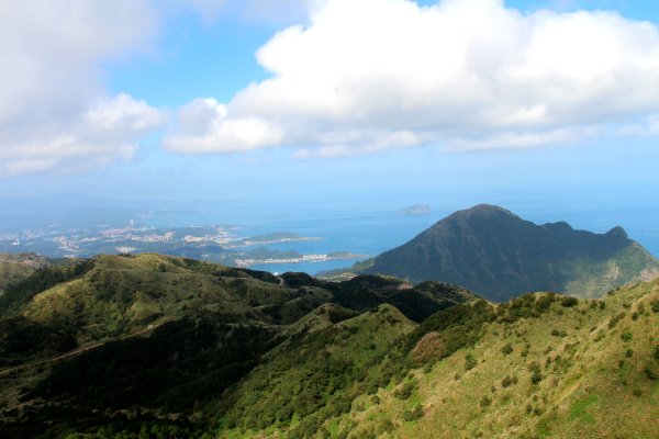【金瓜石】漫山芒花怒放浪漫，礦山藍海奇景夢幻！2964031