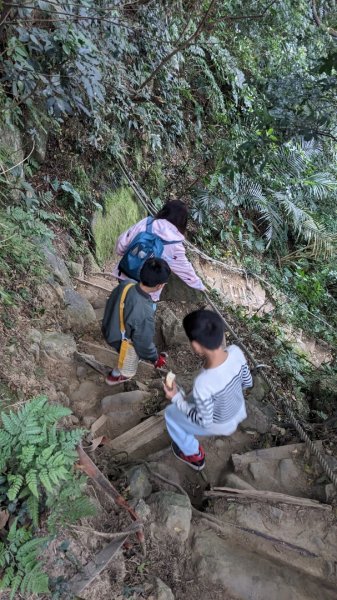 鳶山登山步道2078834