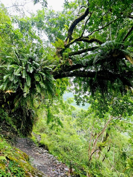 瓦拉米步道(登山口至佳心段)-(花蓮)臺灣百大必訪步道2789417