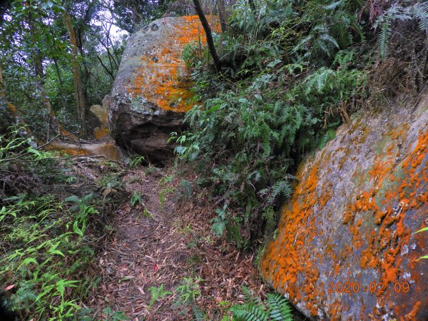 臺北 士林 燕溪古道830094