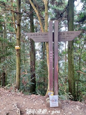 【新竹竹東】五指山登山步道3004811