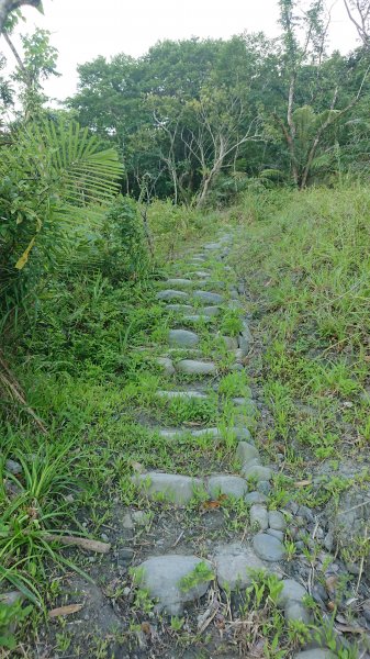 2021年5月14~16日花蓮小百岳2座-萬人山和八里灣山之遇見網紅聖犬及景點美食三角點之旅1389785