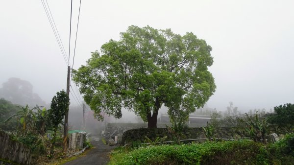 十八彎古道2026575