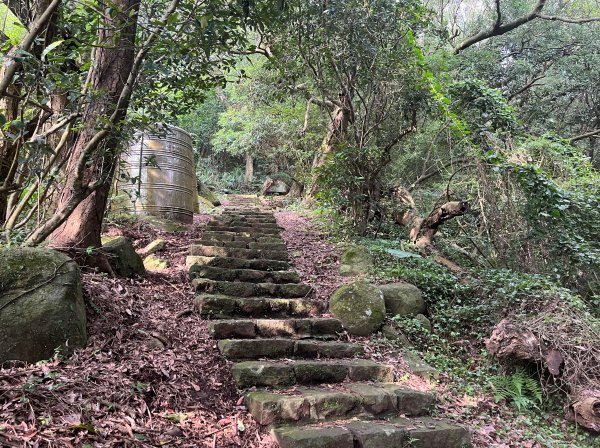 [走遍陽明山]2023_0625_中正山步道2207568