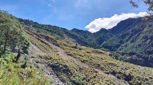 小關山林道27.5k登小關山1795005