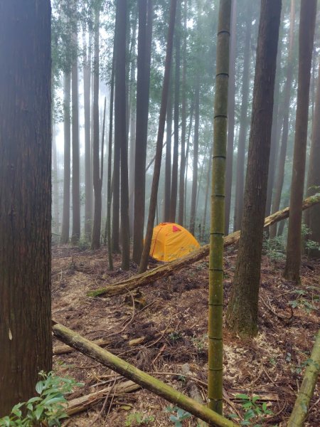 長壽山、肥崠山、醜崠山、大崠山、大崠山經建版2931622