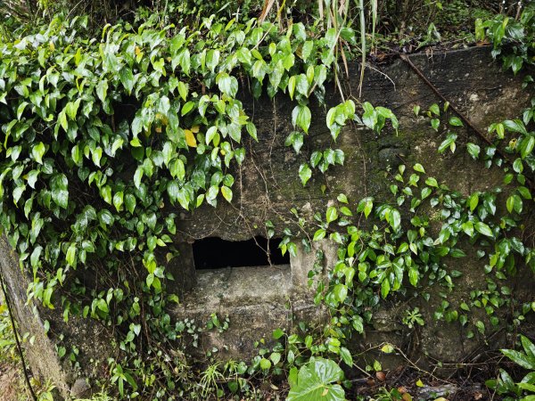 2026_0131 獅球嶺西砲台2997808