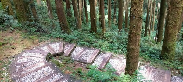 芙蓉山~大凍山~霹靂山~樂野山  四連峰1009693